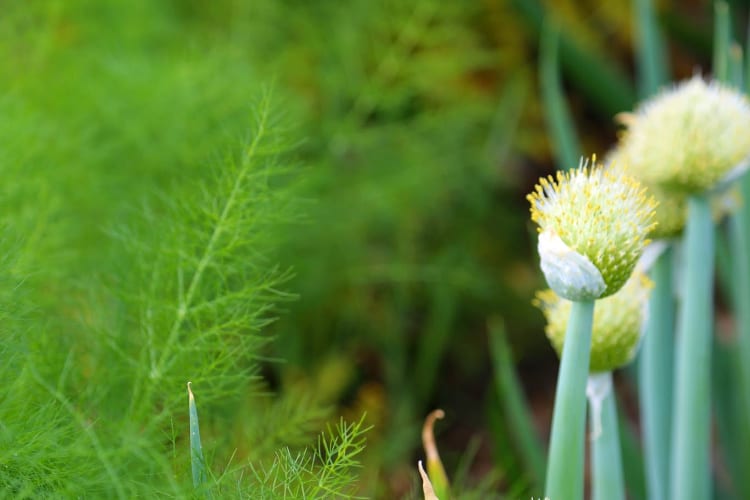 Notre week-end en famille à l’hôtel Royal Evian - Hôtel Royal ***** - 9