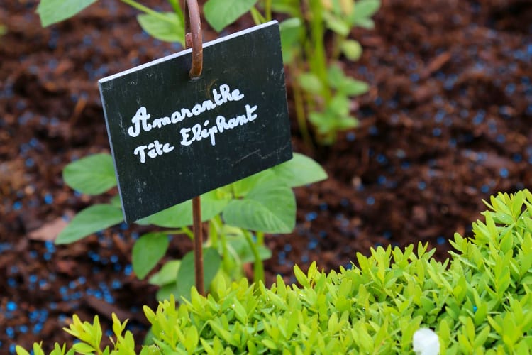 Notre week-end en famille à l’hôtel Royal Evian - Hôtel Royal ***** - 8