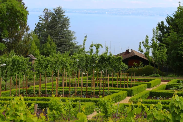 Notre week-end en famille à l’hôtel Royal Evian - Hôtel Royal ***** - 7