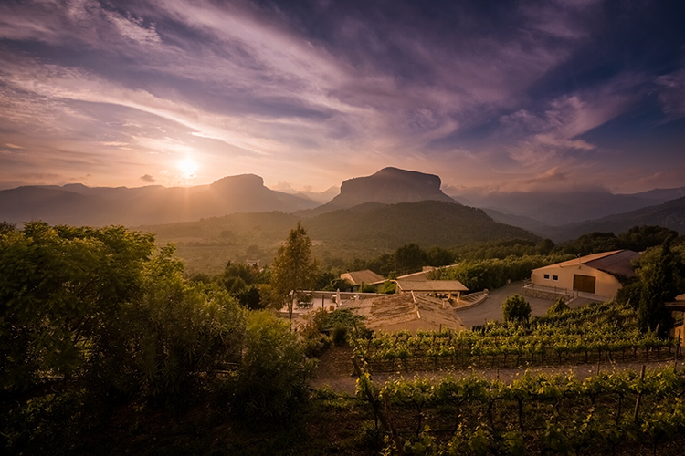 The St. Regis Mardavall Mallorca Resort *****