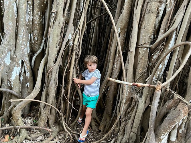 A personalised experience at Lux* Grand Gaube - LUX* Grand Gaube Resort & Villas, Mauritius ***** - 0