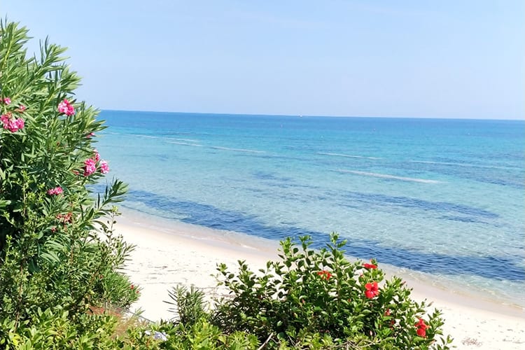 Two dream nights at Forte Village Resort - Hôtel Le Palme Forte Village Resort **** - 7