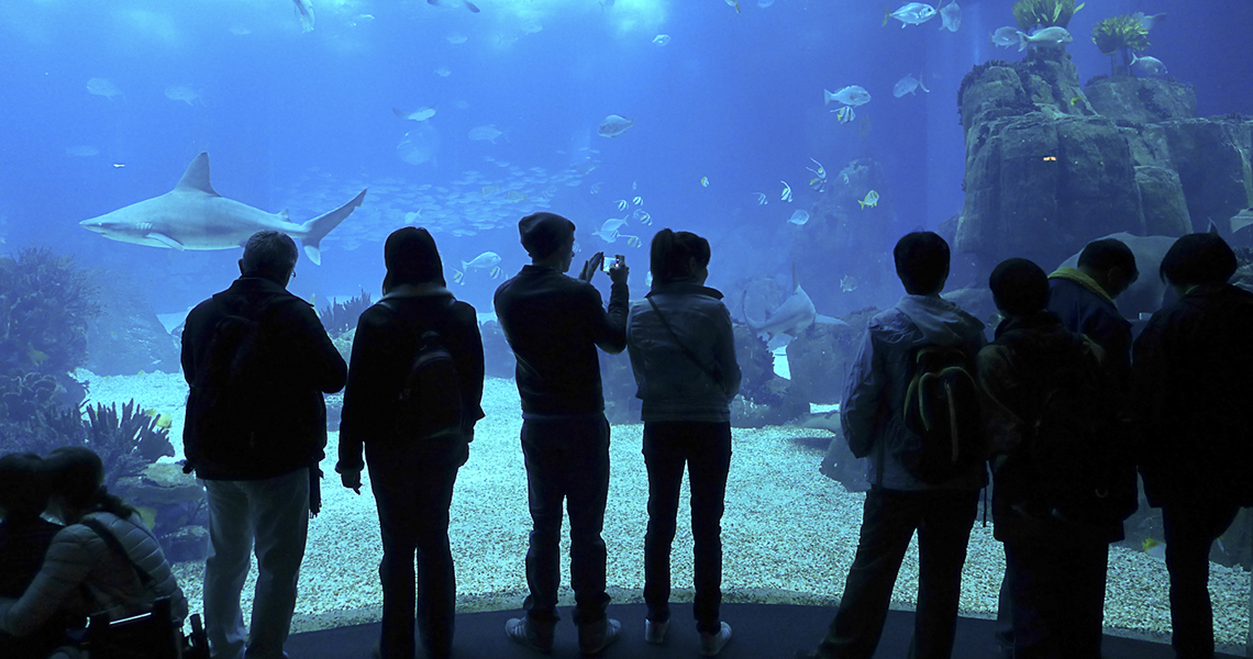 lisbon aquarium