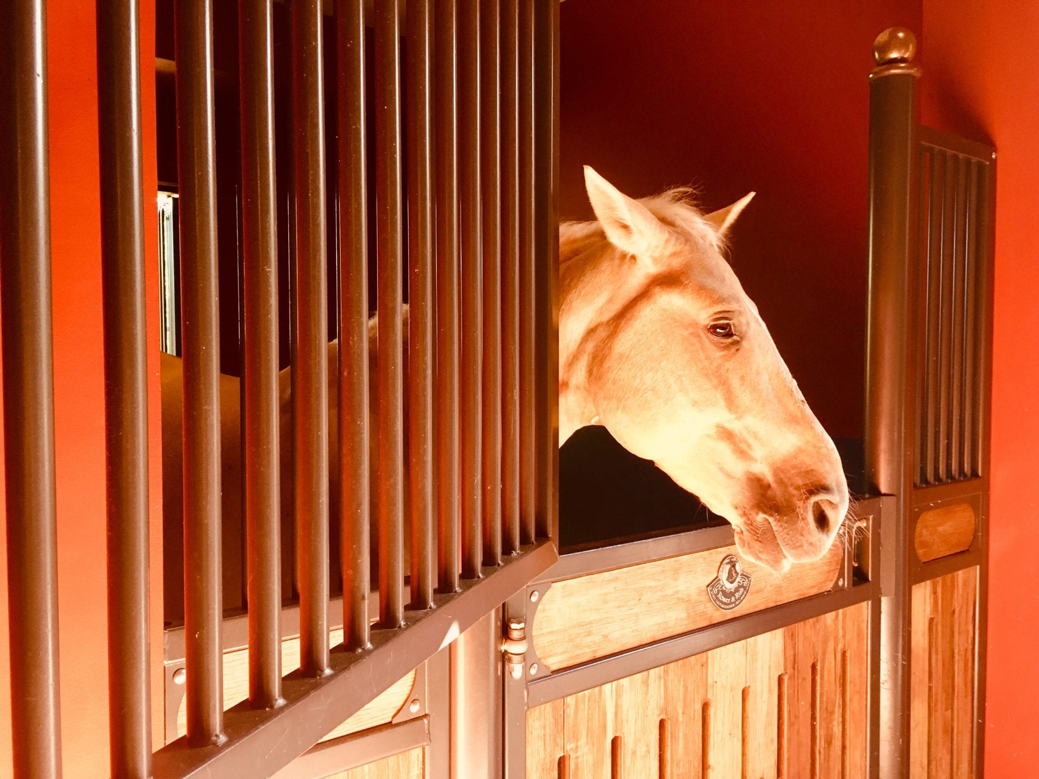 Our holidays at Selman Marrakech - Selman Marrakech ***** - 12