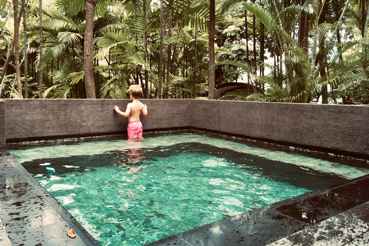 Notre (trop) court séjour au Capella Singapore - Capella Singapore ***** - 3