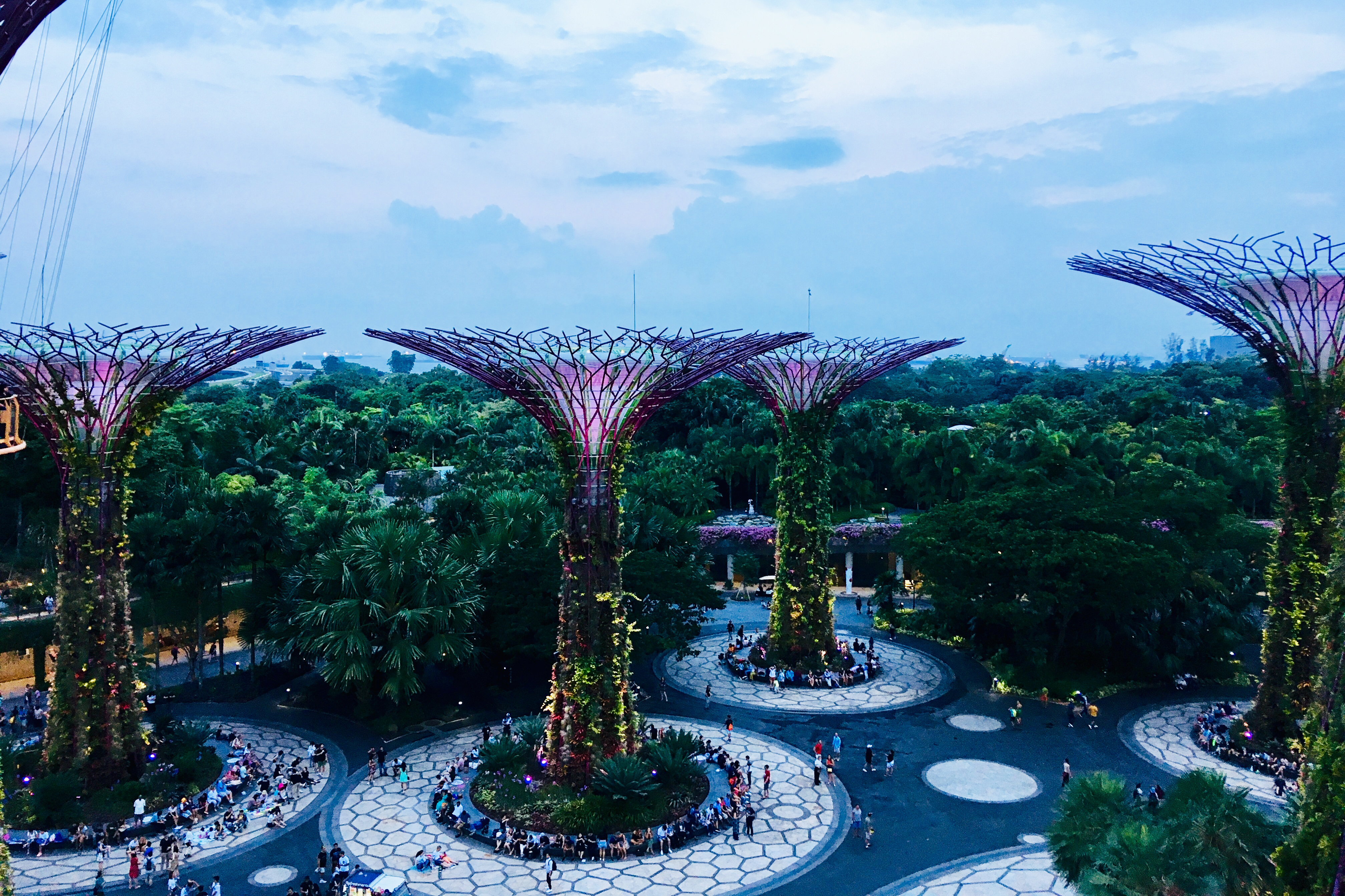 Notre (trop) court séjour au Capella Singapore - Capella Singapore ***** - 0