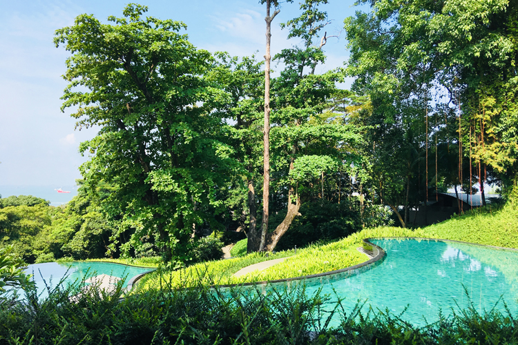 Notre (trop) court séjour au Capella Singapore - Capella Singapore ***** - 2