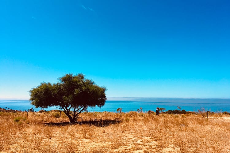 Mijn ontdekking van de Wellness Cascade - Cascade Wellness Resort ***** - 3