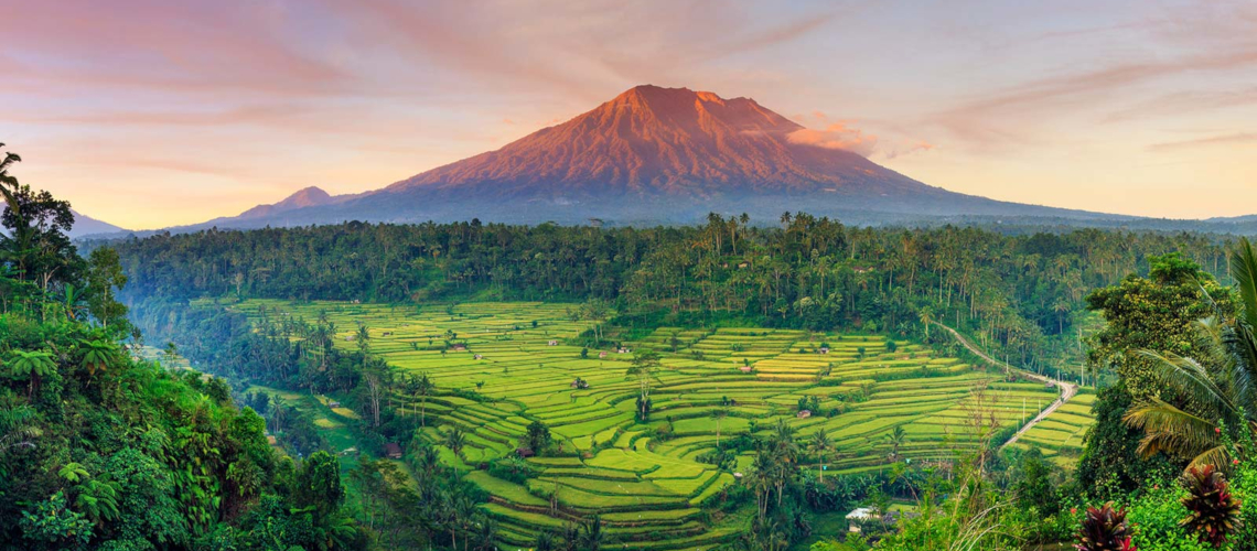 Agung Volcano Bali Paddy Field Little Guest Hotels Collection