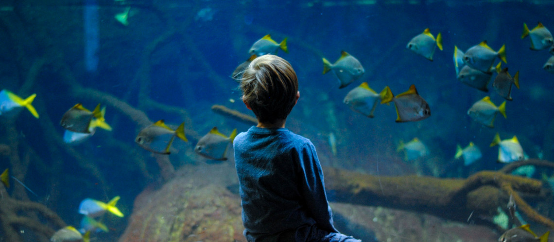 Mallorca Palma aquarium