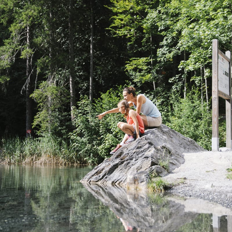 Tous nos conseils pour des vacances éco réussies !