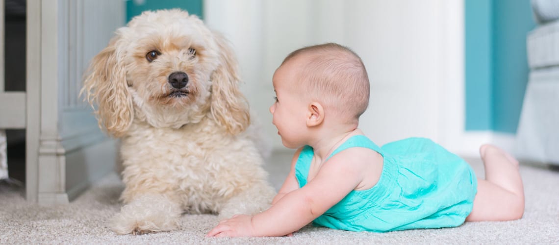 A baby and a dog