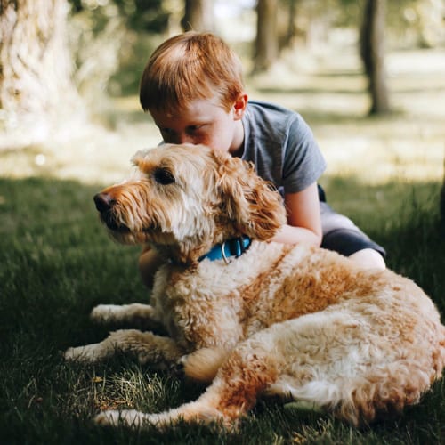  - Où et comment partir en vacances avec son chien