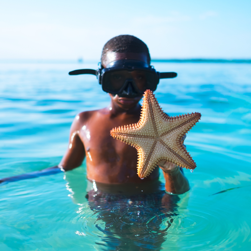 Discover the most beautiful spots for snorkeling with children
