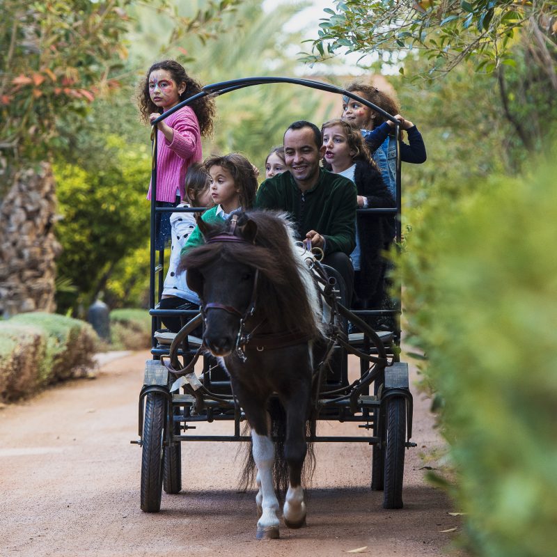 Make your choice among our 5-star hotels in Morocco
