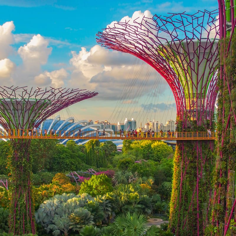 Singapore with family : a practical guide
