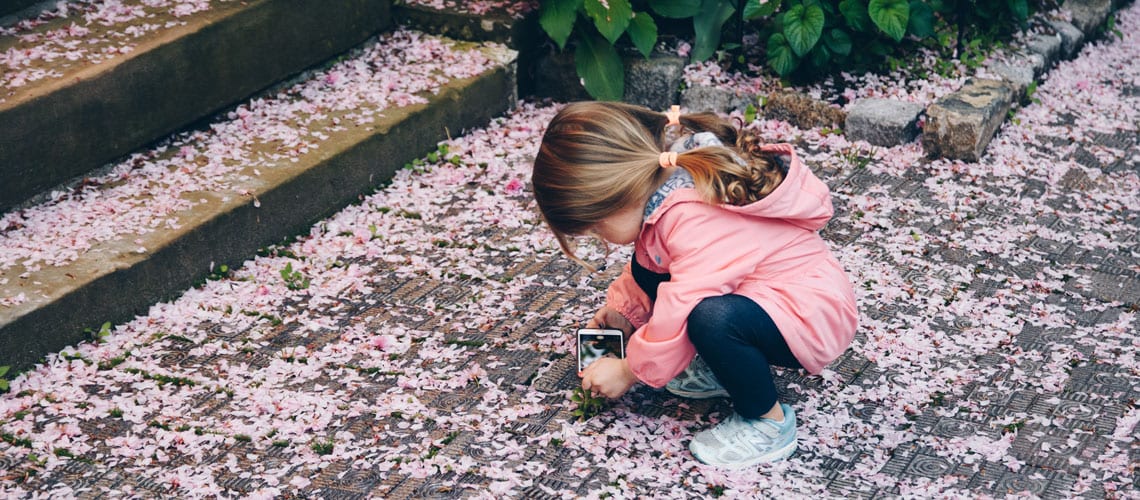 A little girl taking a picture of flowers