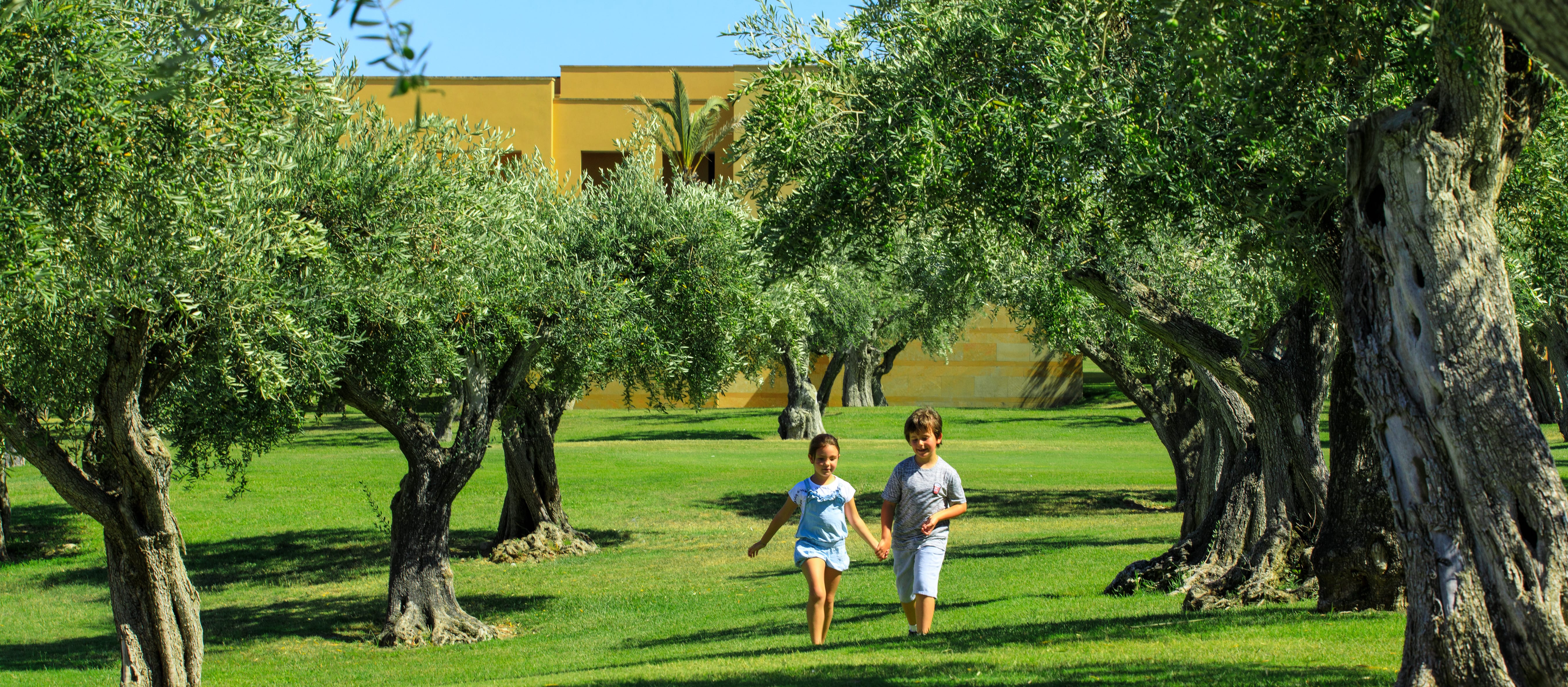 enfants-courent-dans-un-champ-d'oliviers