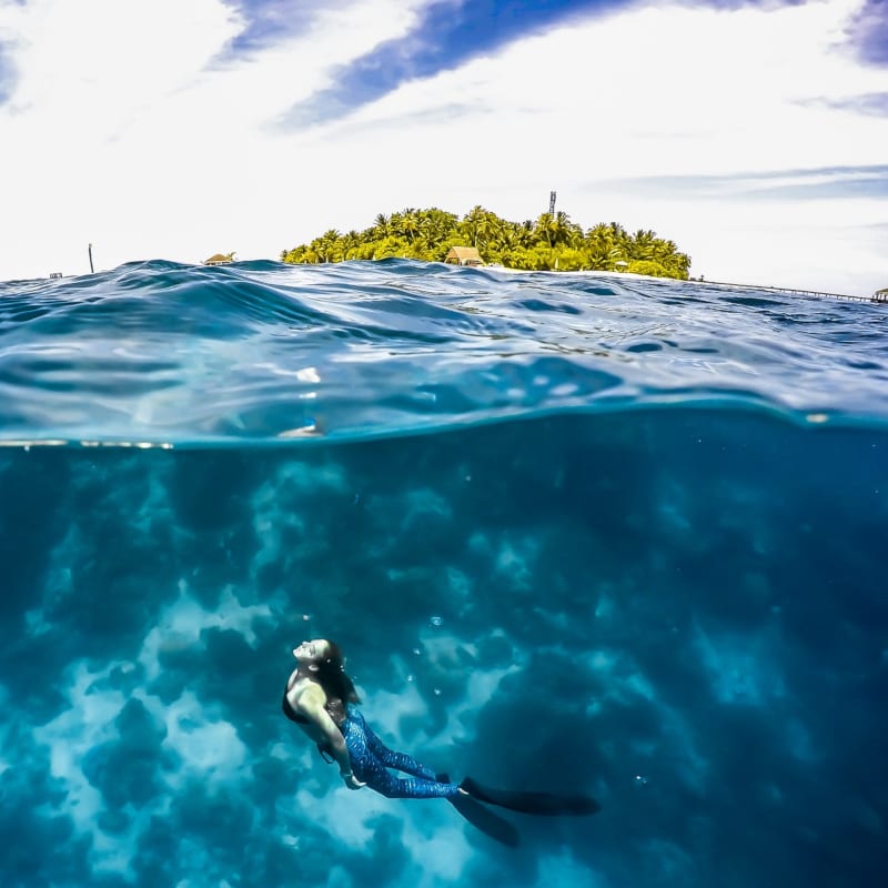 Discover the best diving and snorkeling spots