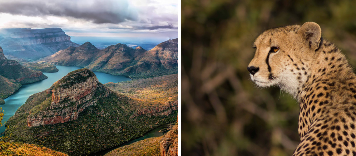 View on Blyde River Canyon from Three Rondavels; A leopard