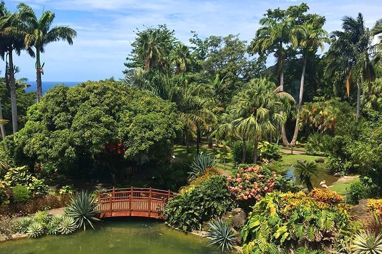 A tropical break at La Créole Beach Hôtel Spa - La Créole Beach Hôtel & Spa **** - 3