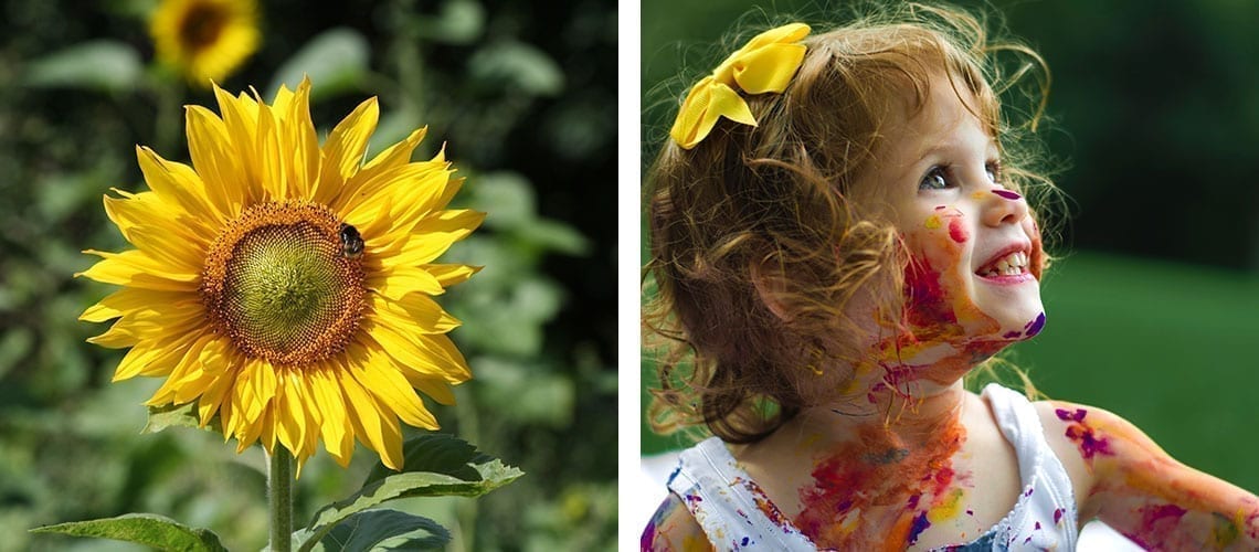 sunflower girl paint
