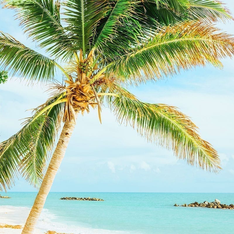 La Créole Beach Hôtel & Spa **** in Guadeloupe will make you dream