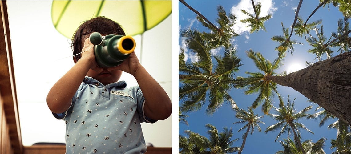 kid binocular coconut tree