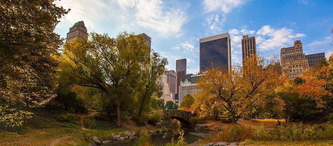 Visa Passport USA Central Park