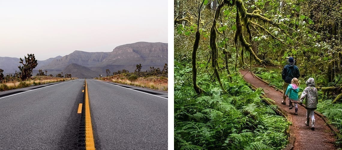 Route-Hoh-Forest