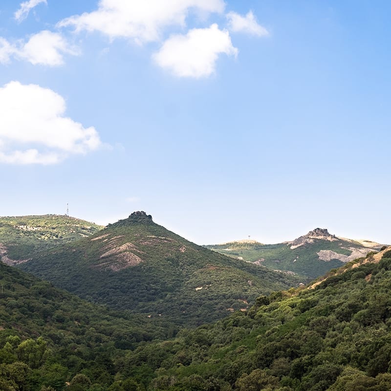 Family escape in Sardinia