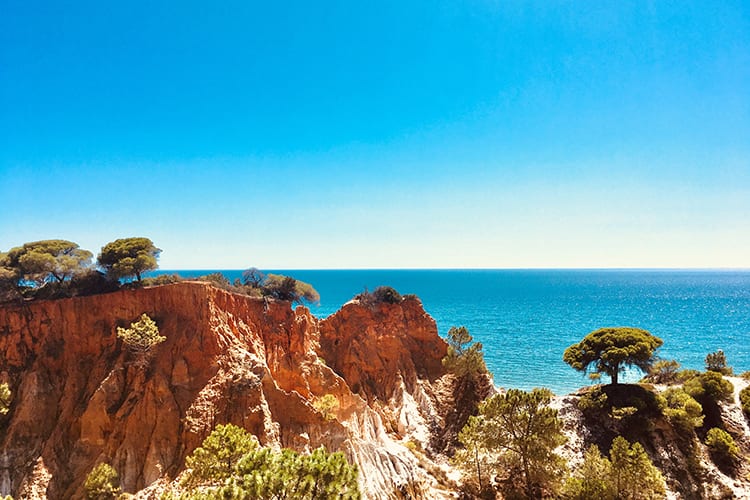 My experience at Pine Cliffs - Pine Cliffs Gardens & Villas ***** - 1