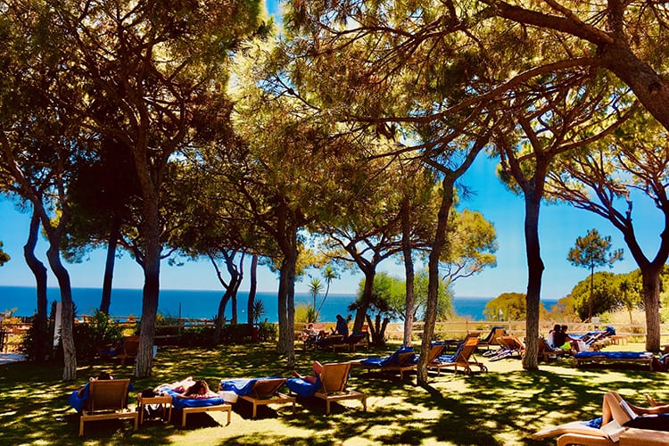 My experience at Pine Cliffs - Pine Cliffs Gardens & Villas ***** - 7