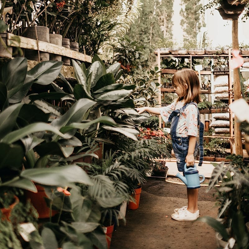 To introduce your children to gardening