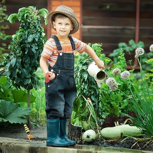 Gardening at home with children is easy!