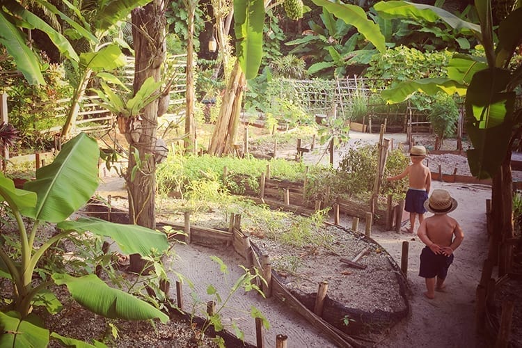 Een hemels verblijf bij Niyama Privé Eilanden - Niyama Private Islands Maldives ***** - 9