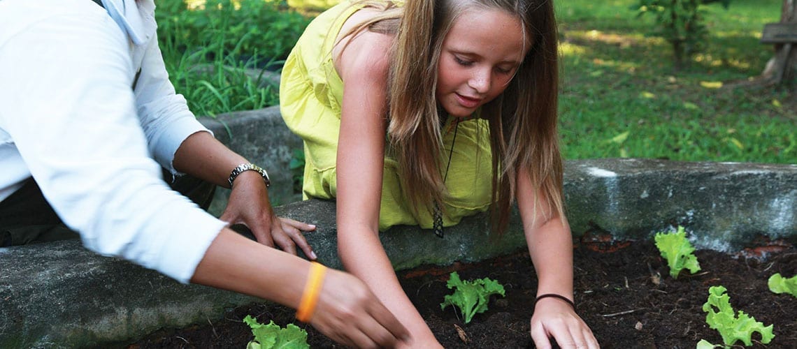 Little girl planting vegetables at Soneva Kiri
