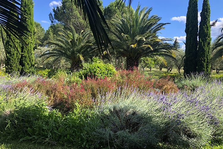 A delightful stay at the Domaine des Clos - Domaine des Clos **** - 3