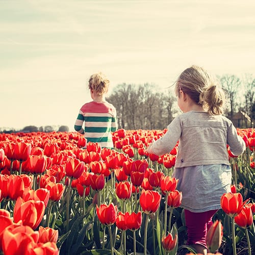 Have a look at our article on slow tourism