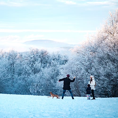 Top 8 kids-friendly activities during winter