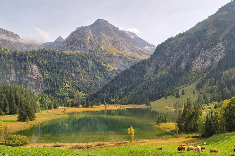Een verblijf in Huus Gstaad, op het hoogtepunt van de wereld - Huus Gstaad **** - 1