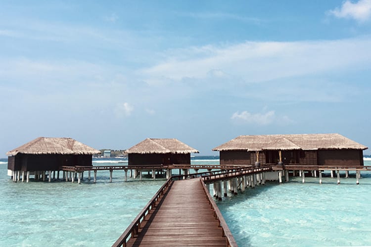 Een droomeiland voor gezinnen bij Sheraton Full Moon Maldives - Sheraton Maldives Full Moon Resort & Spa ***** - 0