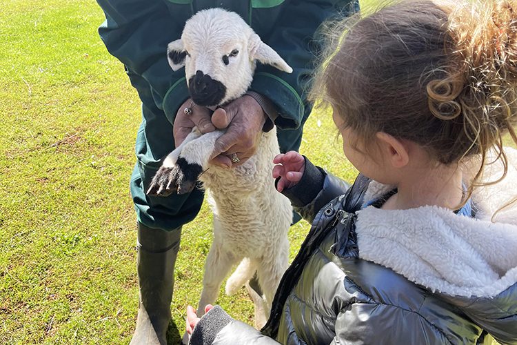 Our dream stay at Fairmont Royal Palm - Fairmont Royal Palm Marrakech ***** - 4