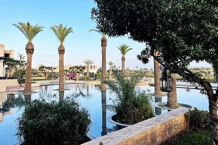Our dream stay at Fairmont Royal Palm - Fairmont Royal Palm Marrakech ***** - 3