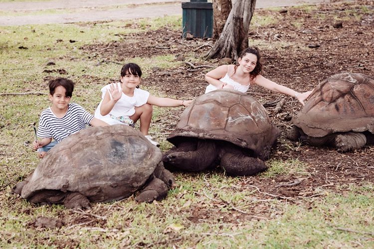 A timeless stay at Shandrani Beachcomber - Shandrani Beachcomber Resort & Spa **** - 5