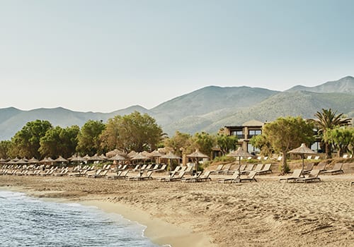 A sunny welcome at Cretan Malia Park - Charlotte, Cretan Malia Park's sales manager & Aude, Chloé, Stéphanie and Quentin from Little Guest