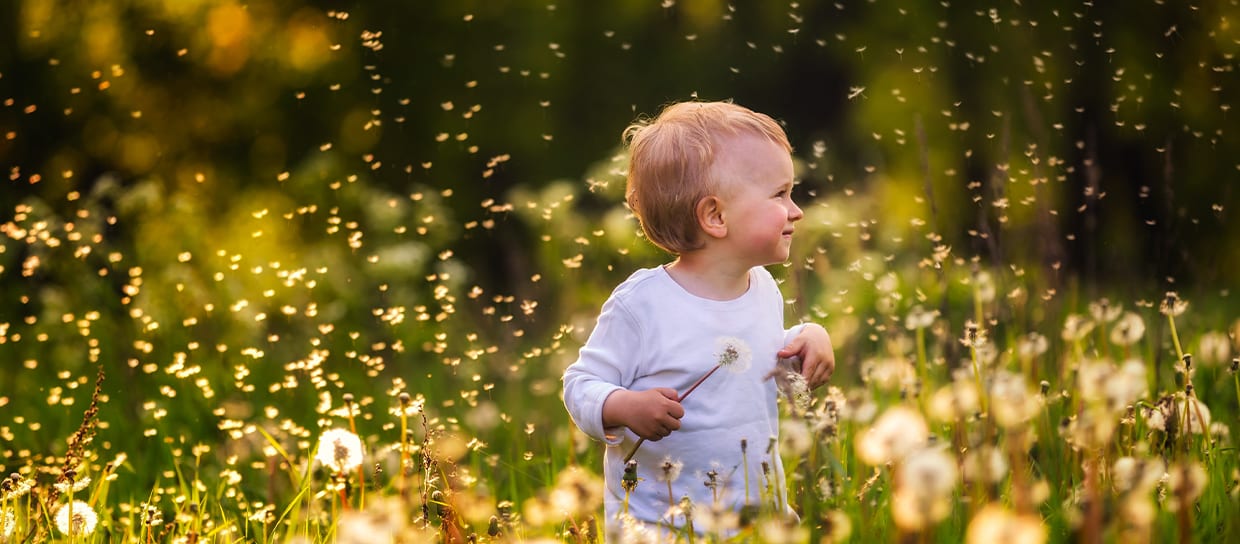 baby-in-a-field