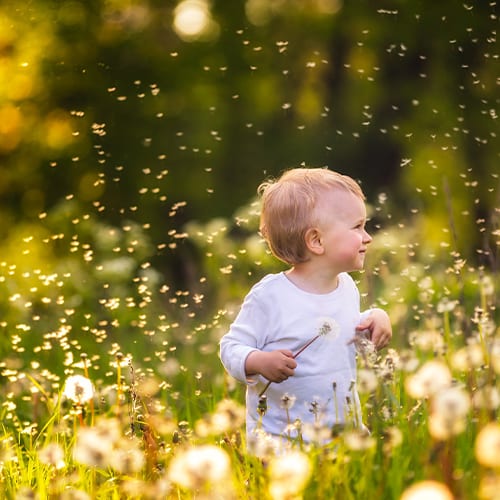 How to protect baby from insects?
