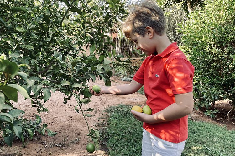 Notre escapade familiale à l’Oasis Lodges - Oasis Lodges **** - 4