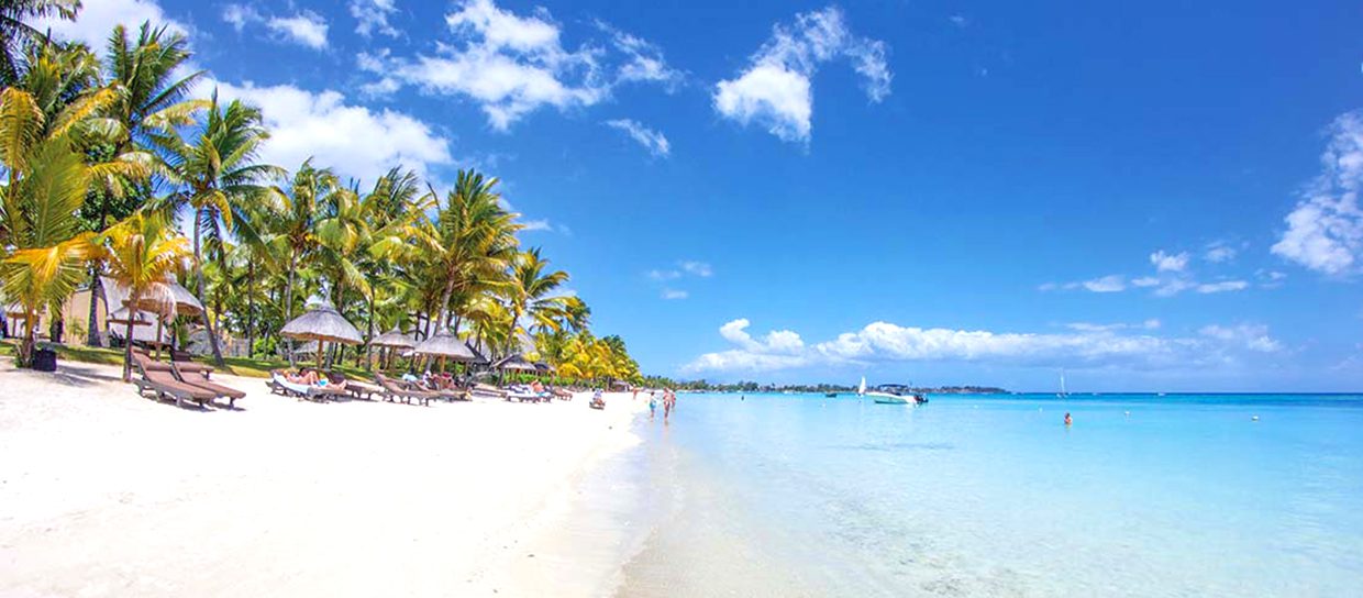 Beach-sand-white-palm-trees